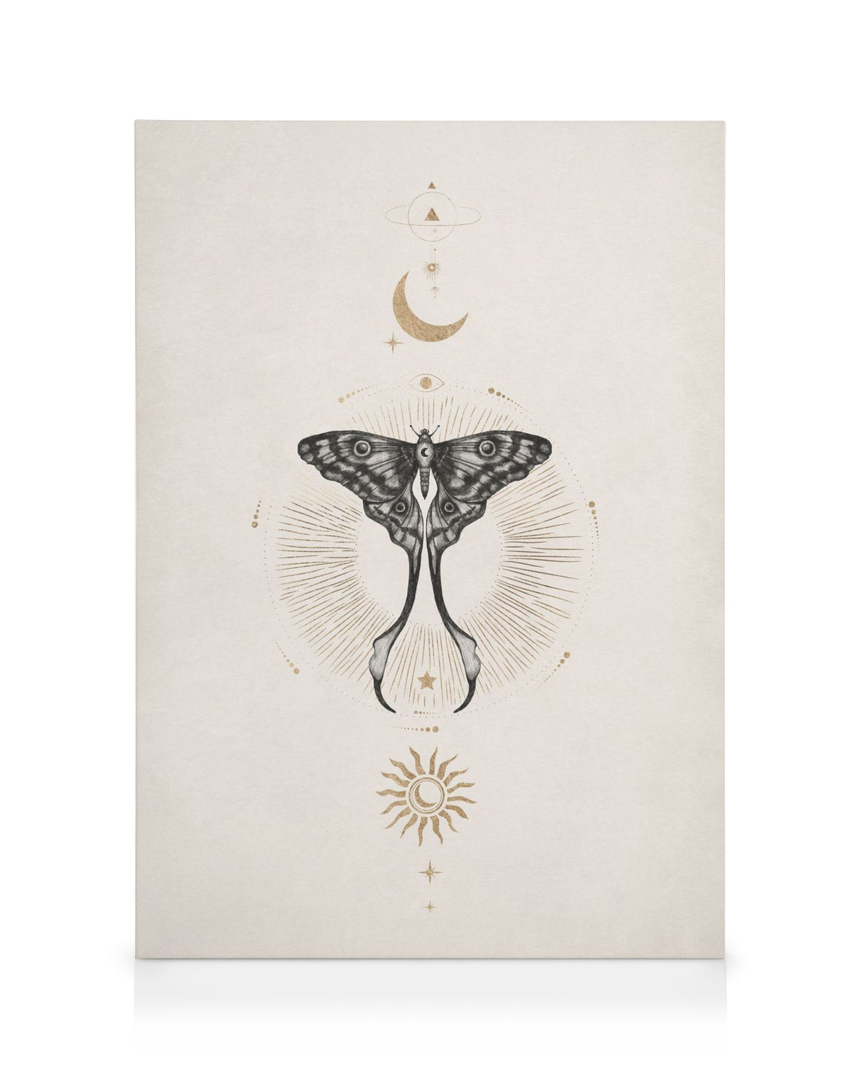 Moon Star Butterfly Canvas print