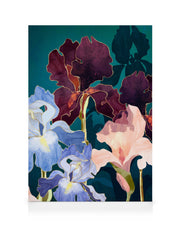SpaceFrog Designs - Iris Abstract Canvas print
