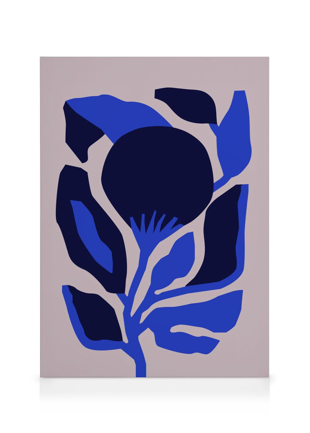 Berenice Hernandez - Flor Enero Canvas print
