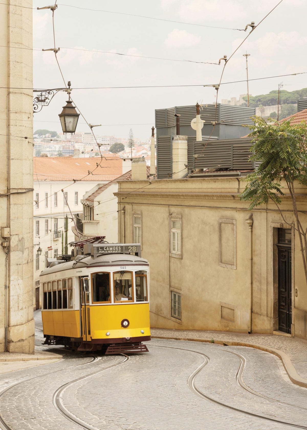 Tram 28 Print