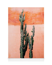 Orange Cactus Wall Canvas print