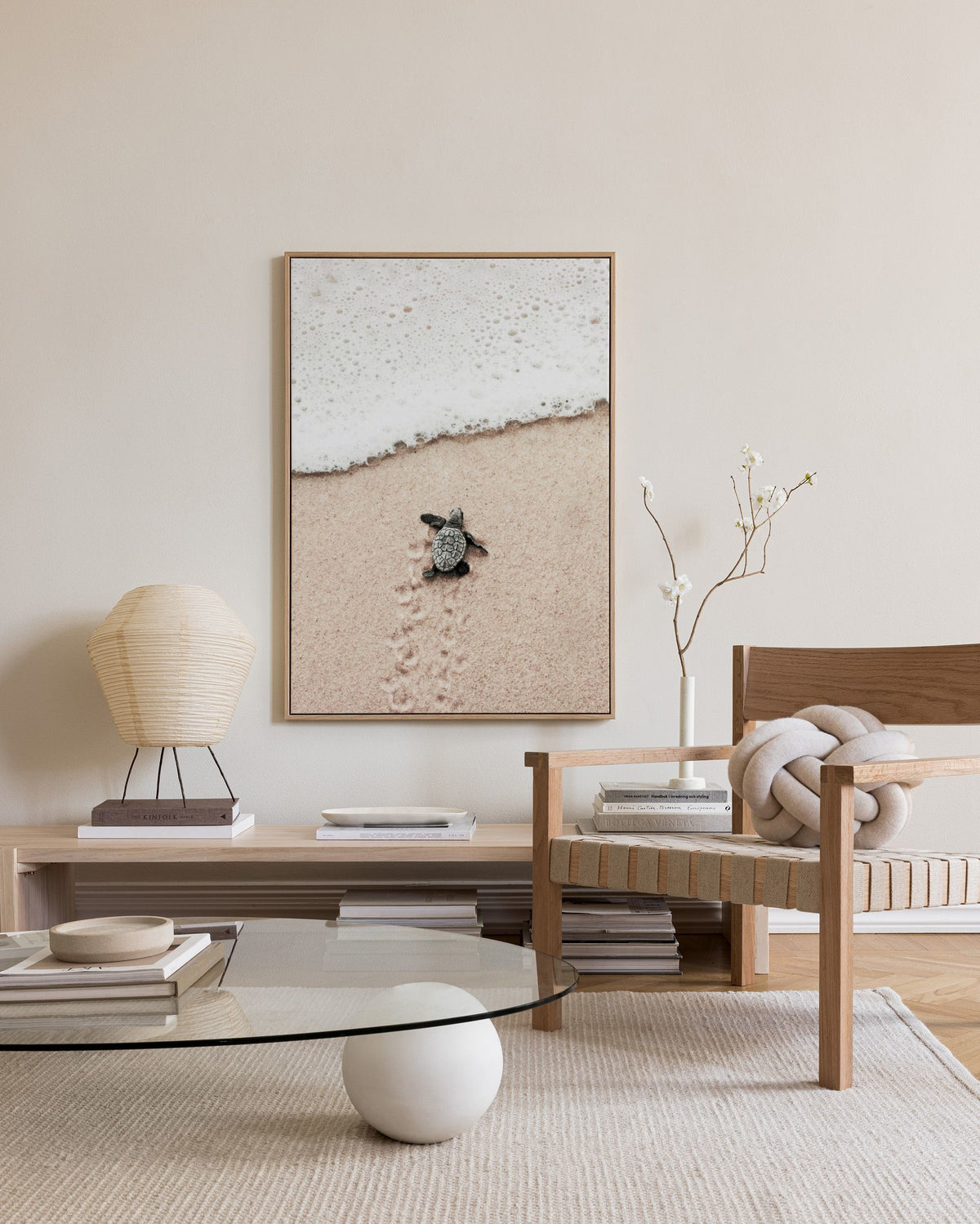 Baby Turtle Canvas print
