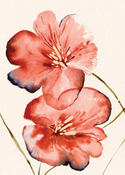 Soft Red Flowers Print