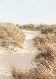 Shorelines No3 Print