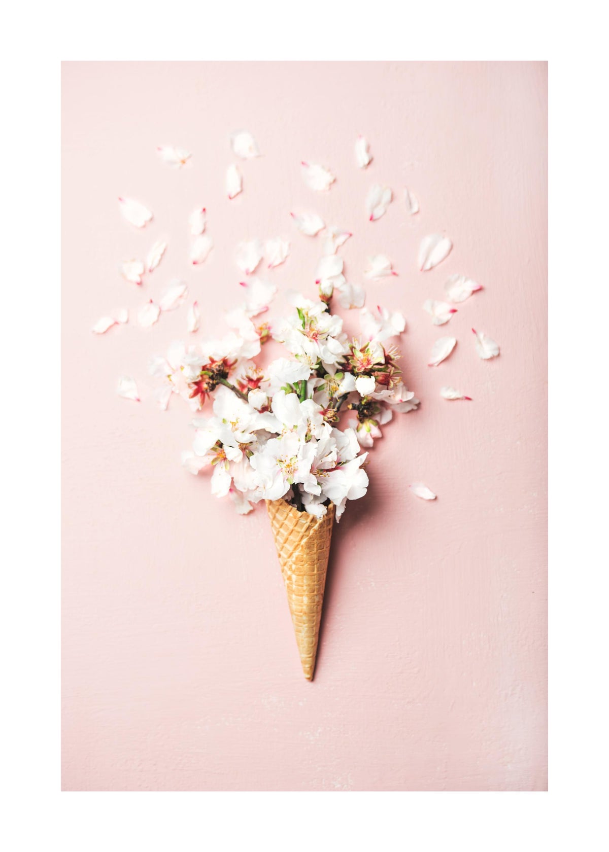 Flower Cone Pink Print