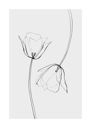 Line Tulips Print