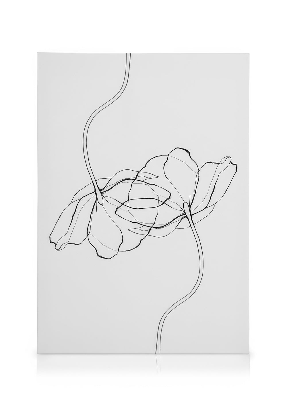 Line Poppies Canvas print