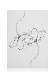 Line Poppies Canvas print