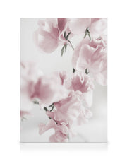Summer Dream No1 Canvas print