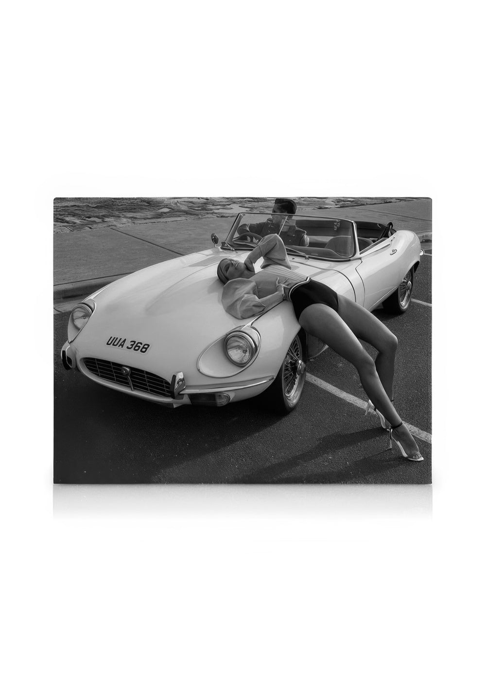 Taking a Break Canvas print