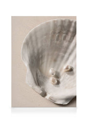 Ocean's Jewels Canvas print