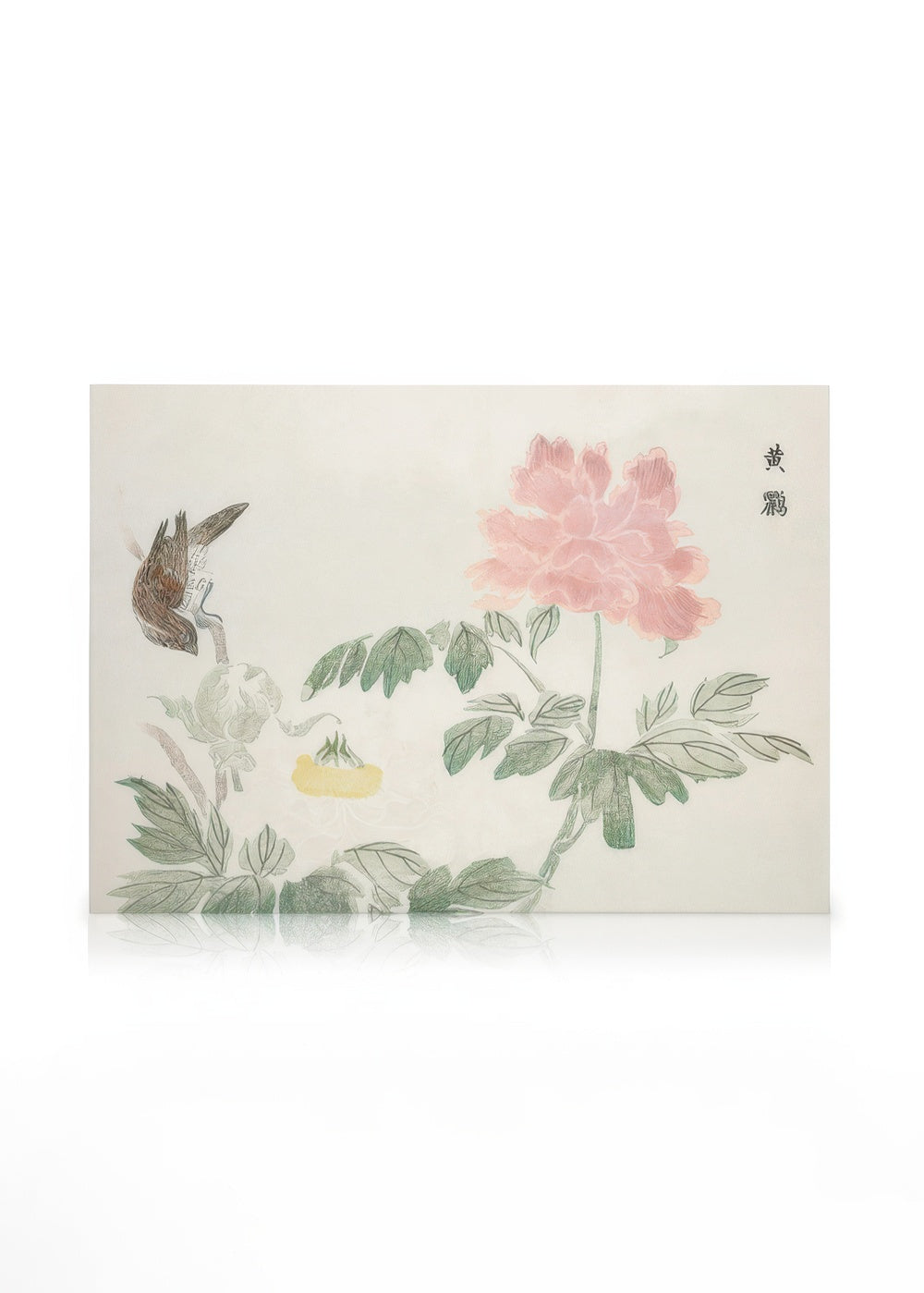 Chinese Peony Canvas print