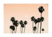 Palms in the Sky Print