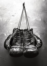 Boxer, Print
