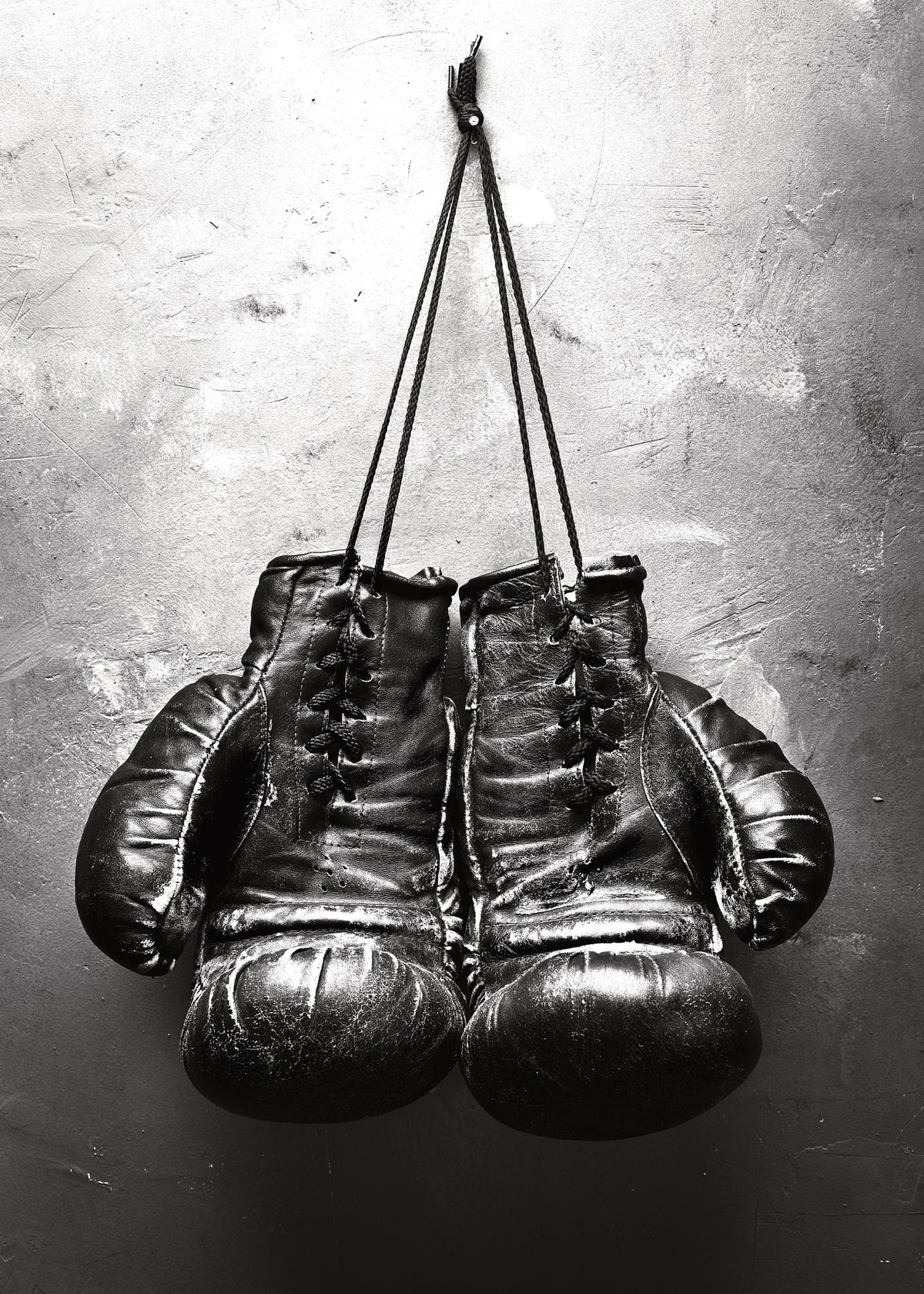 Boxer, Print