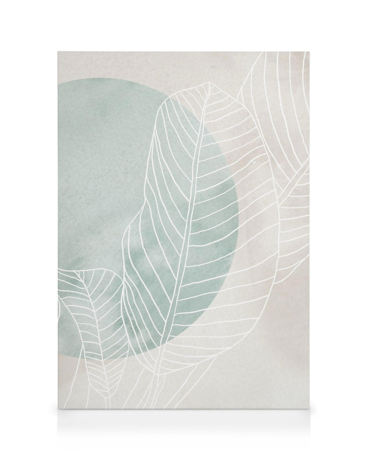 Ficus Line Drawing Canvas print