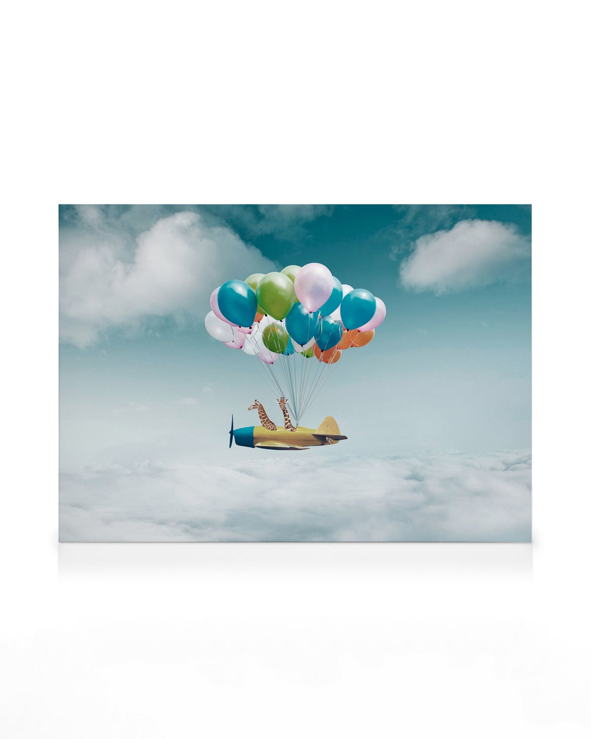 Airplane With Balloons Canvas print