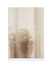 Behind the Curtain Canvas print