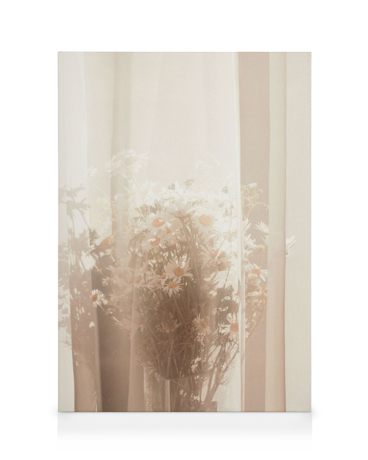 Behind the Curtain Canvas print