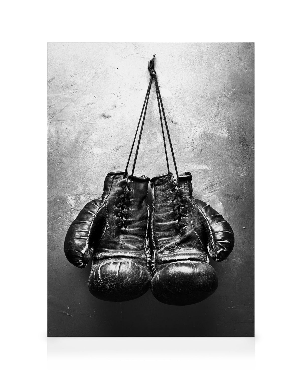 Boxer, Canvas print