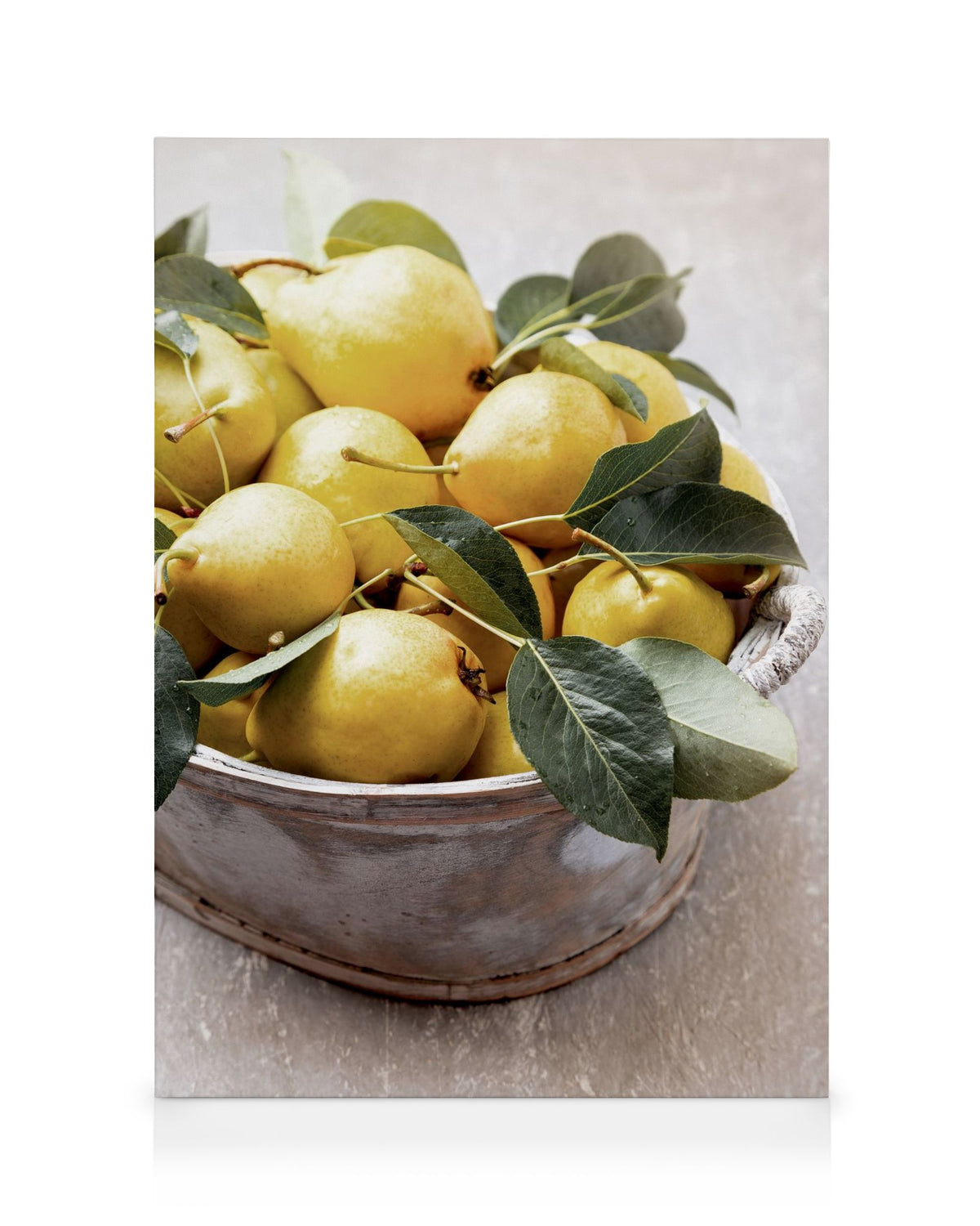 Fruits d'été No4 Canvas print