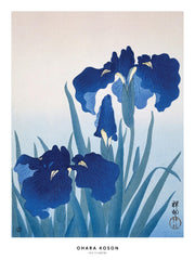 Ohara Koson - Iris Flowers Print