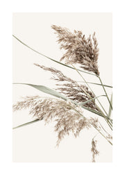 Boho Grass Print