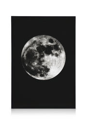 Moon In Black Canvas print