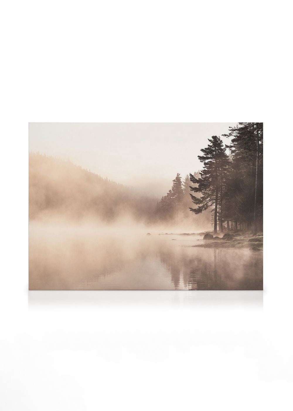 Fog Lake Canvas print