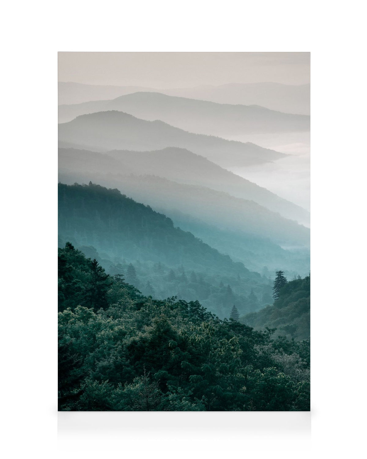 Forest Mountain Canvas print