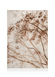 Dried Flourish Canvas print