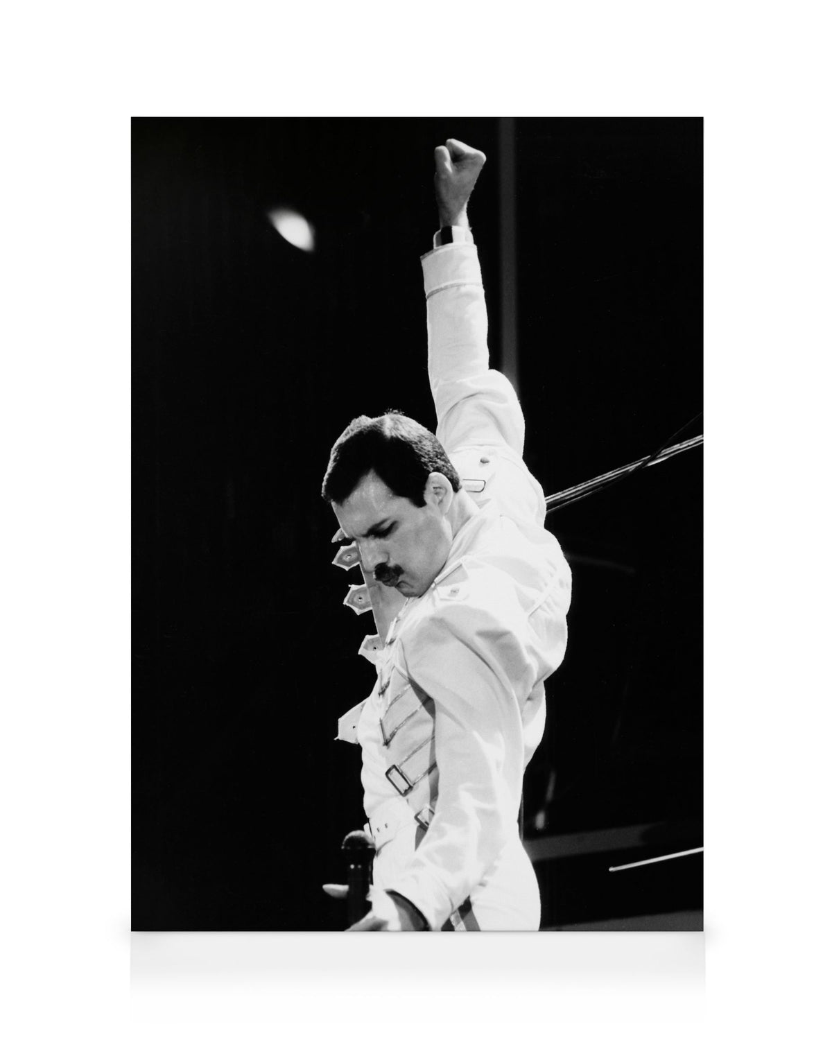 Freddie Mercury Canvas print