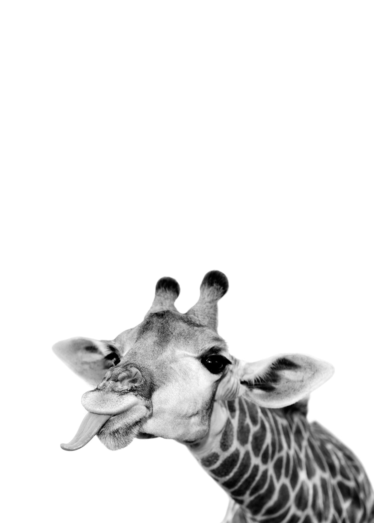 Goofy Giraffe Print