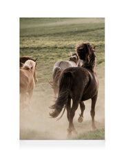In Motion No1 Canvas print