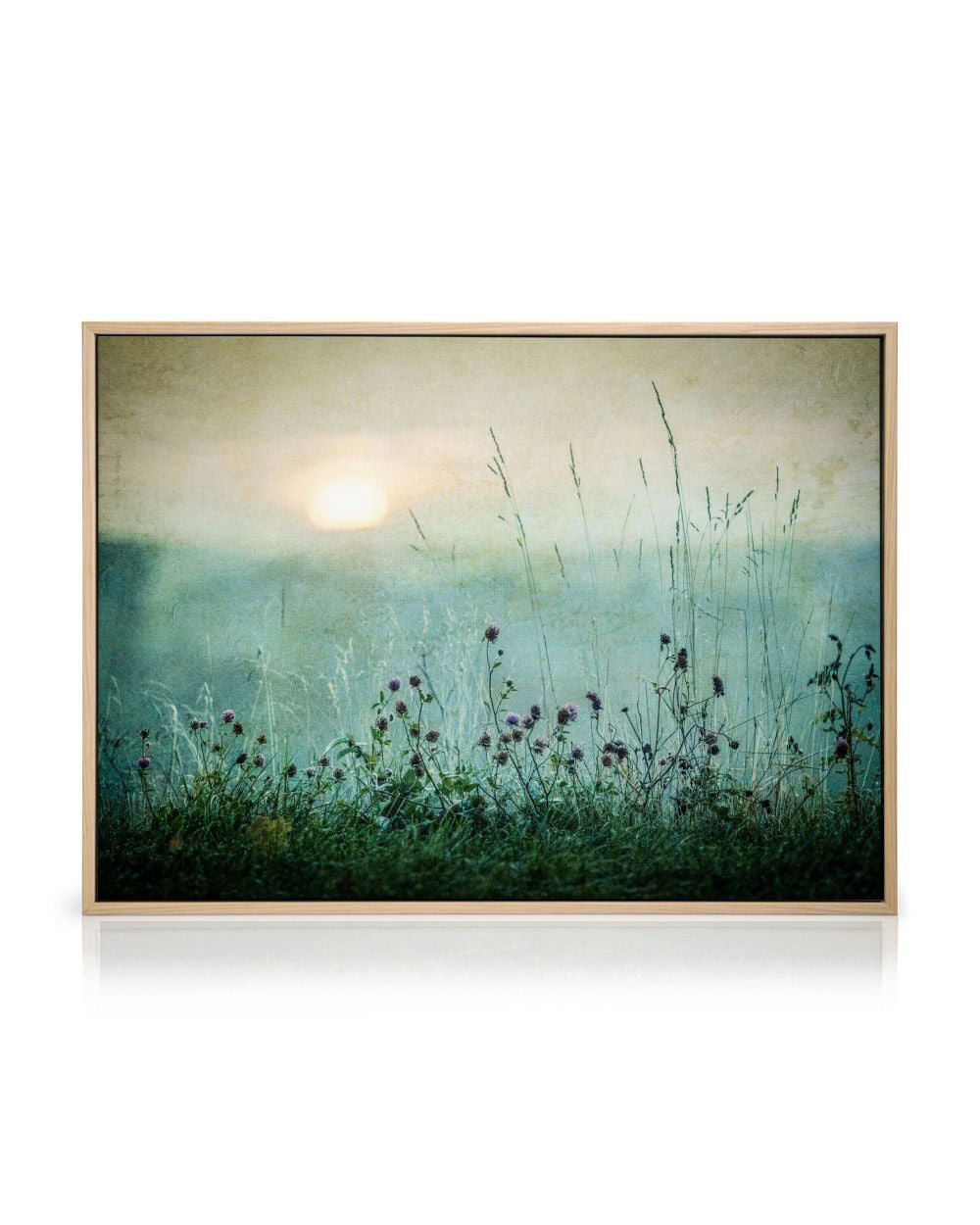Meadow In Dawn Canvas print