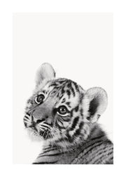 Baby Tiger Print