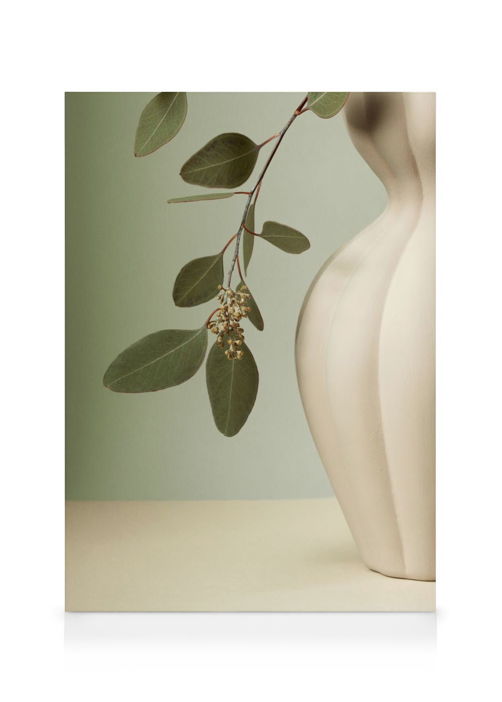 Soft Eucalyptus Canvas print