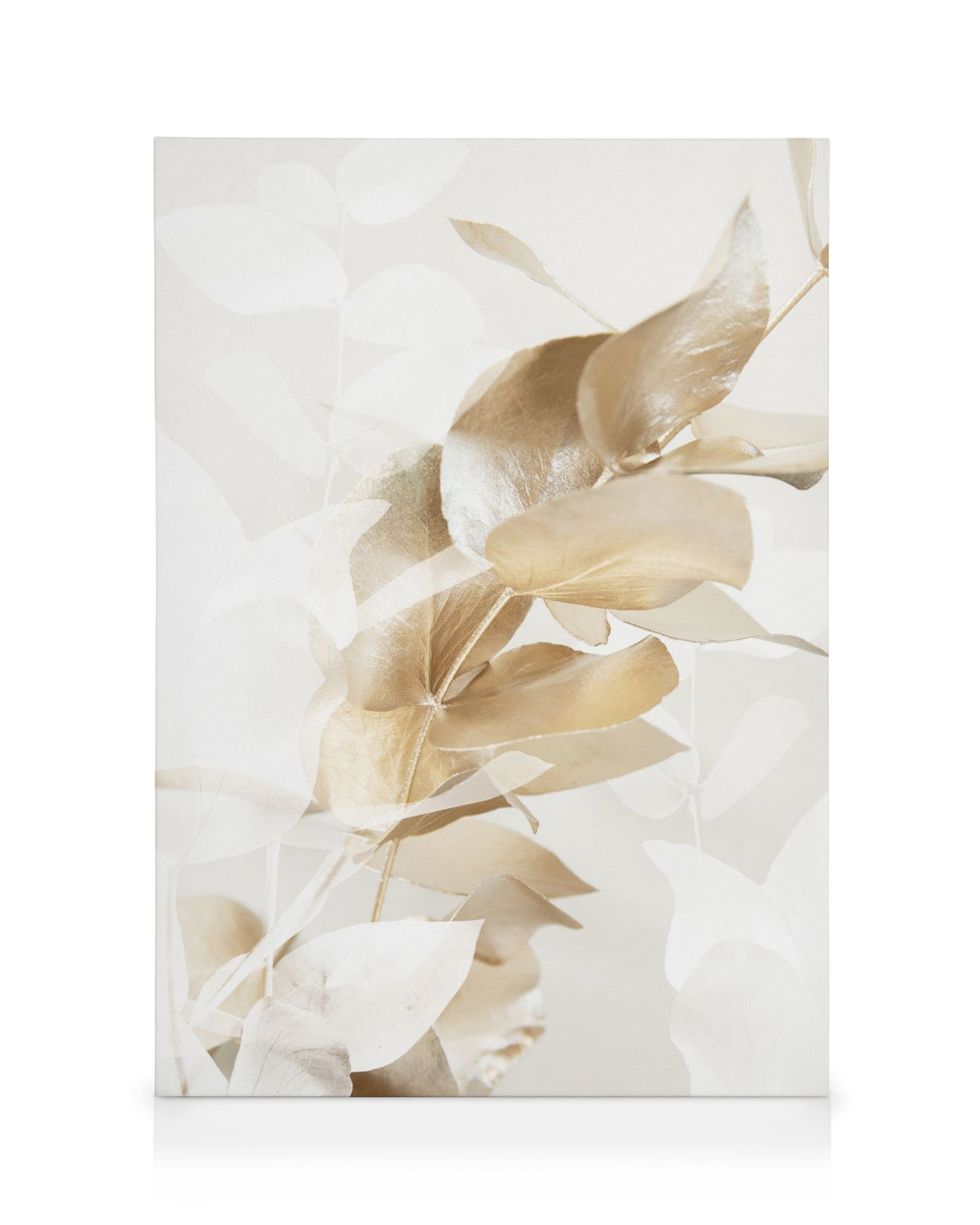 Golden Eucalyptus No1 Canvas print
