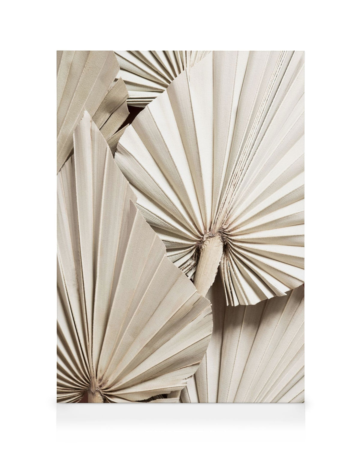 Pleated Palm Canvas print