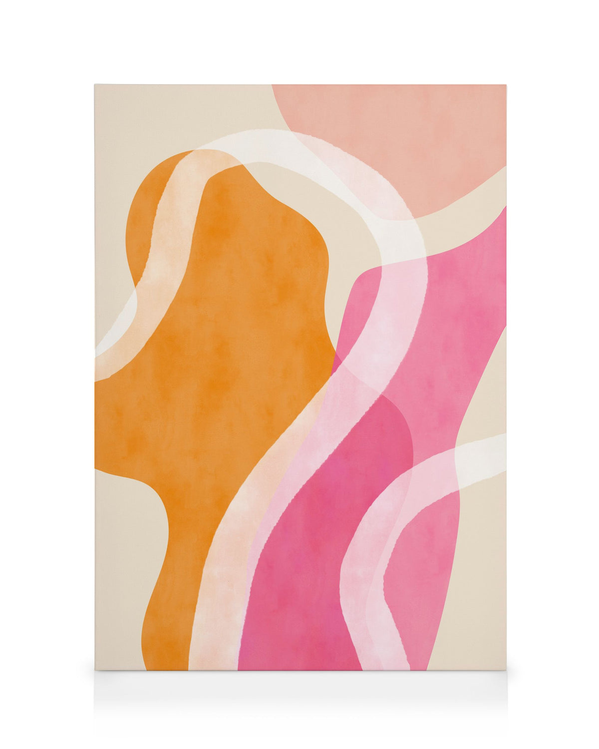 Abstract Pink Shapes No1 Canvas print