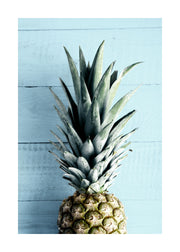 Pineapple Top Print