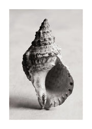 The Art of the Sea Print
