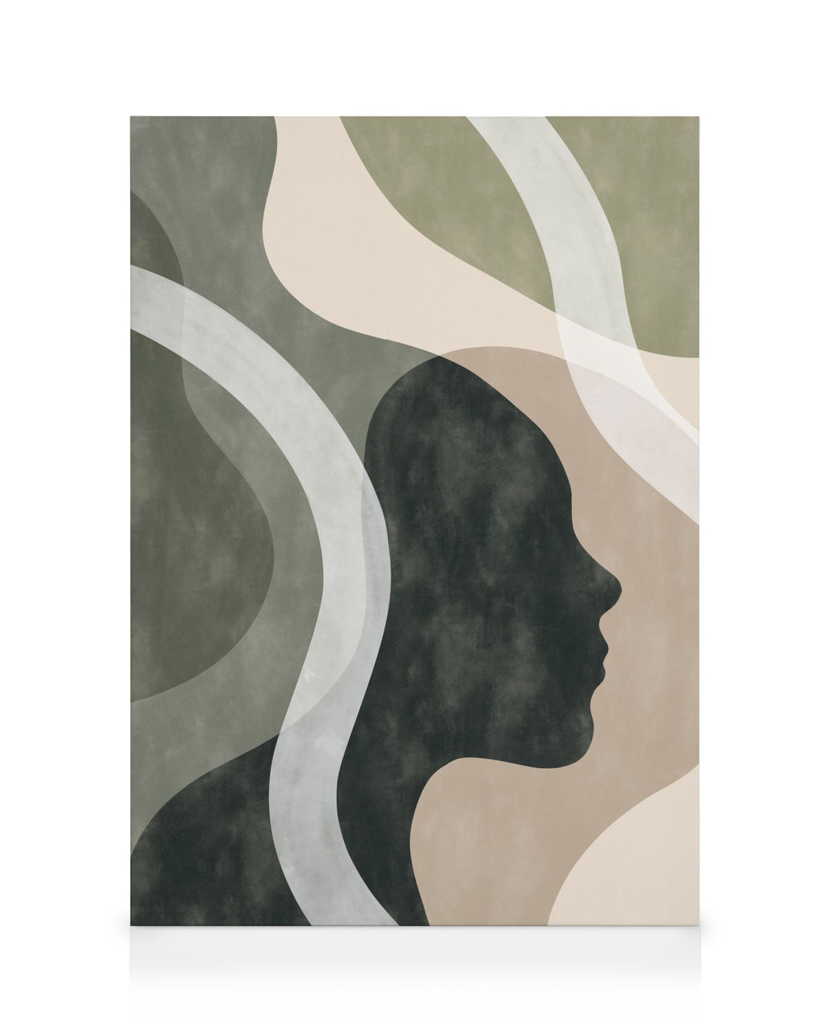 Shapes of a Face No1 Canvas print