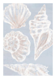 White Shells Print