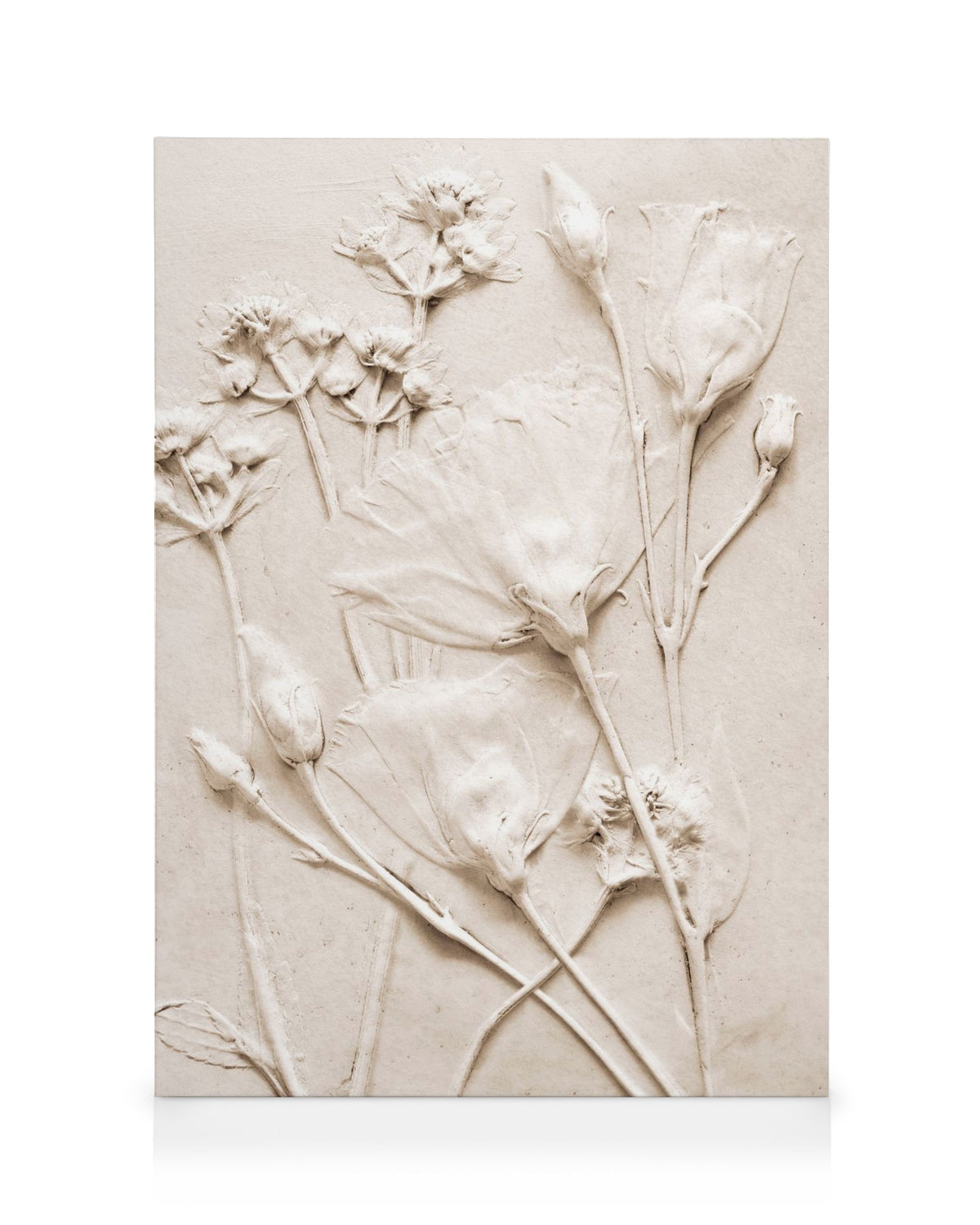 Relief Flowers No2 Canvas print
