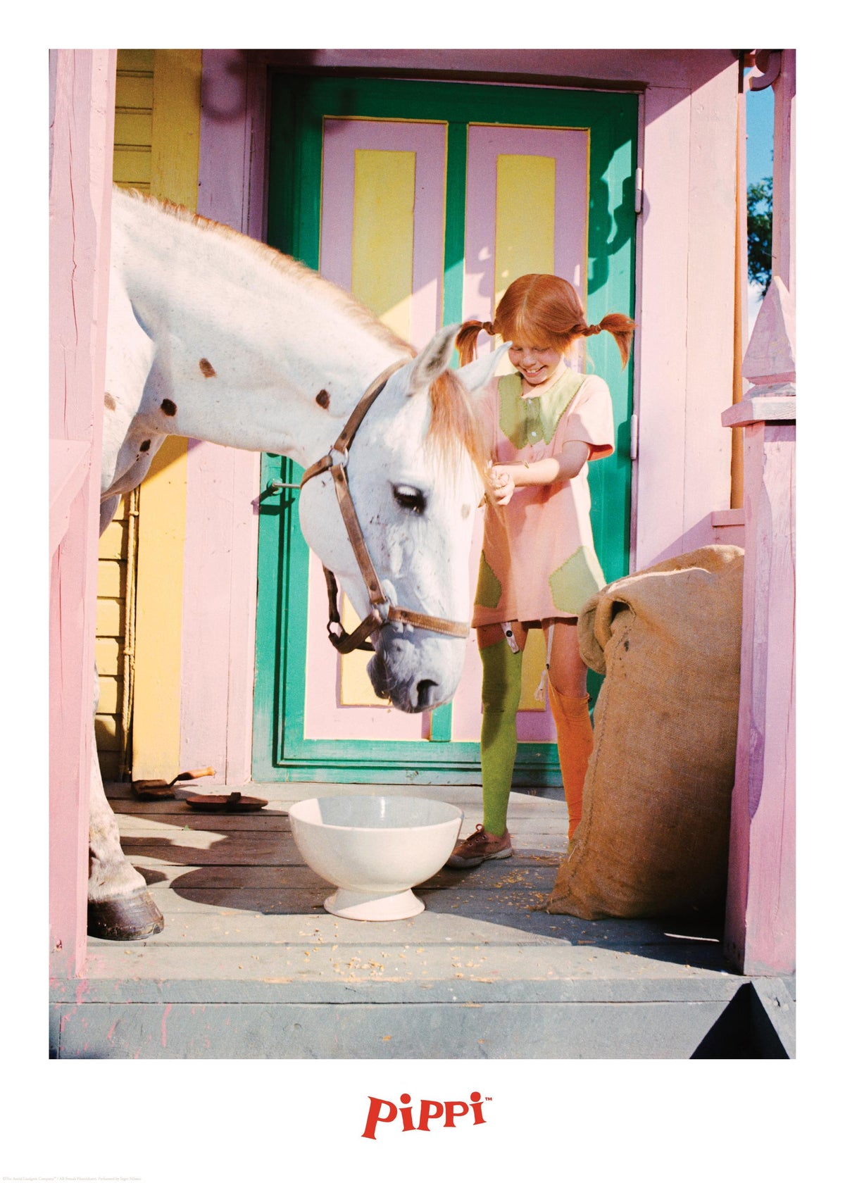 Pippi Longstocking and the Horse Print