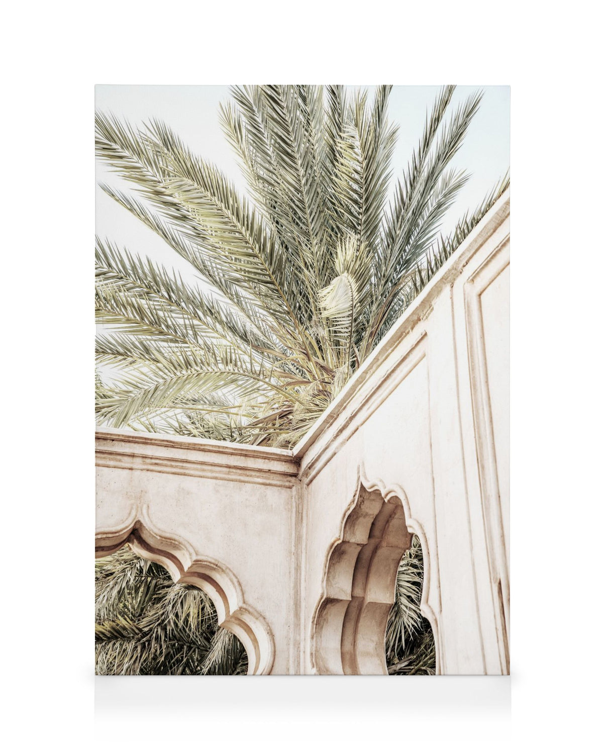 Palm Curves Canvas print