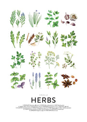 Culinary Herbs, Prints