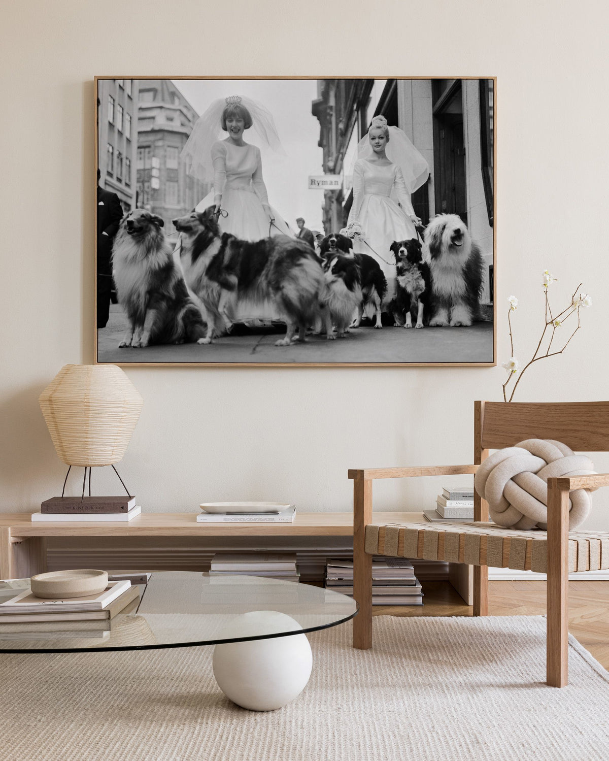 Soho Sheep Dogs Canvas print