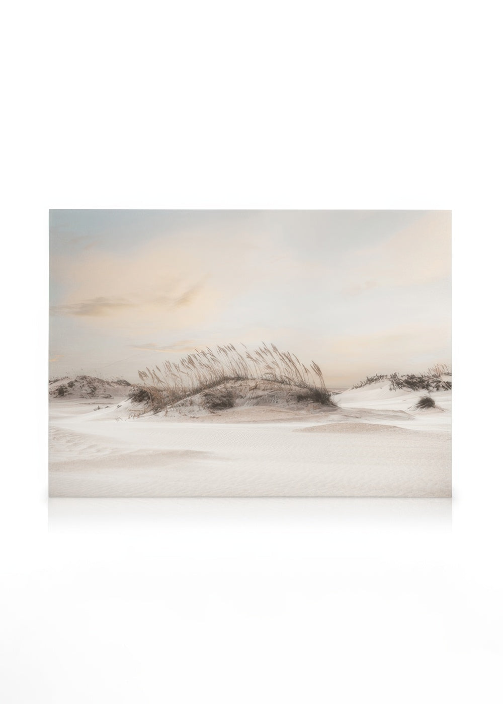 Dune Landscape Canvas print